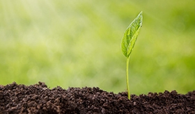 Natura si Mediul inconjurator