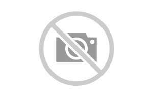 Alexander Grosse, David Jessi Loftesness